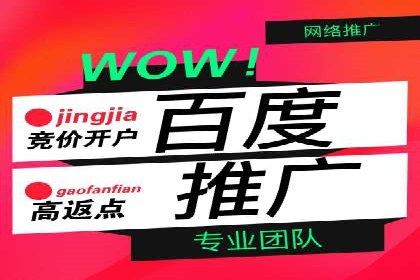 百度视频广告投放技巧：案例分享成功经验
